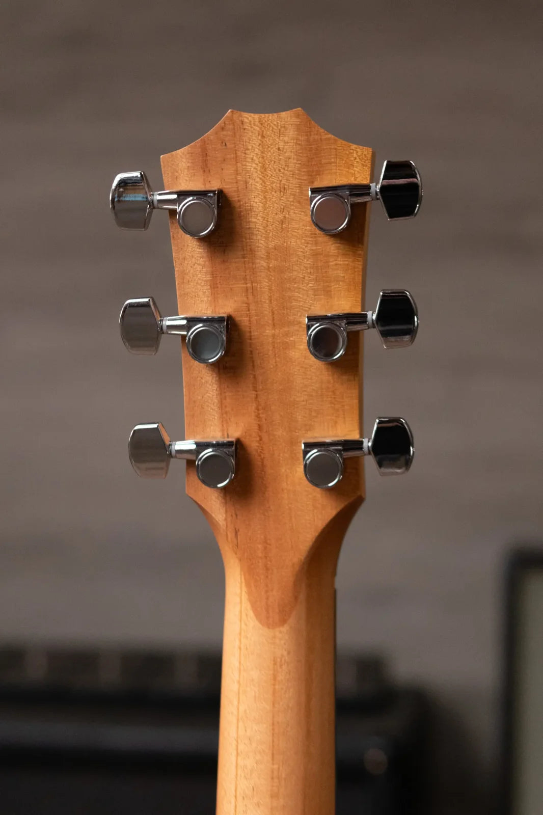 Taylor 210ce Dreadnought Acoustic/Electric Guitar with Gig Bag - Demo