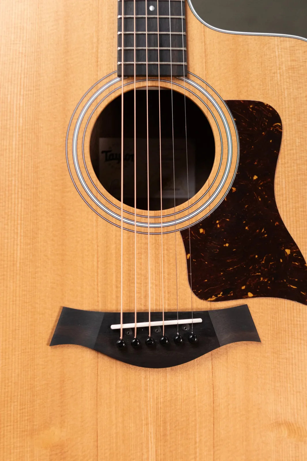 Taylor 210ce Dreadnought Acoustic/Electric Guitar with Gig Bag - Demo