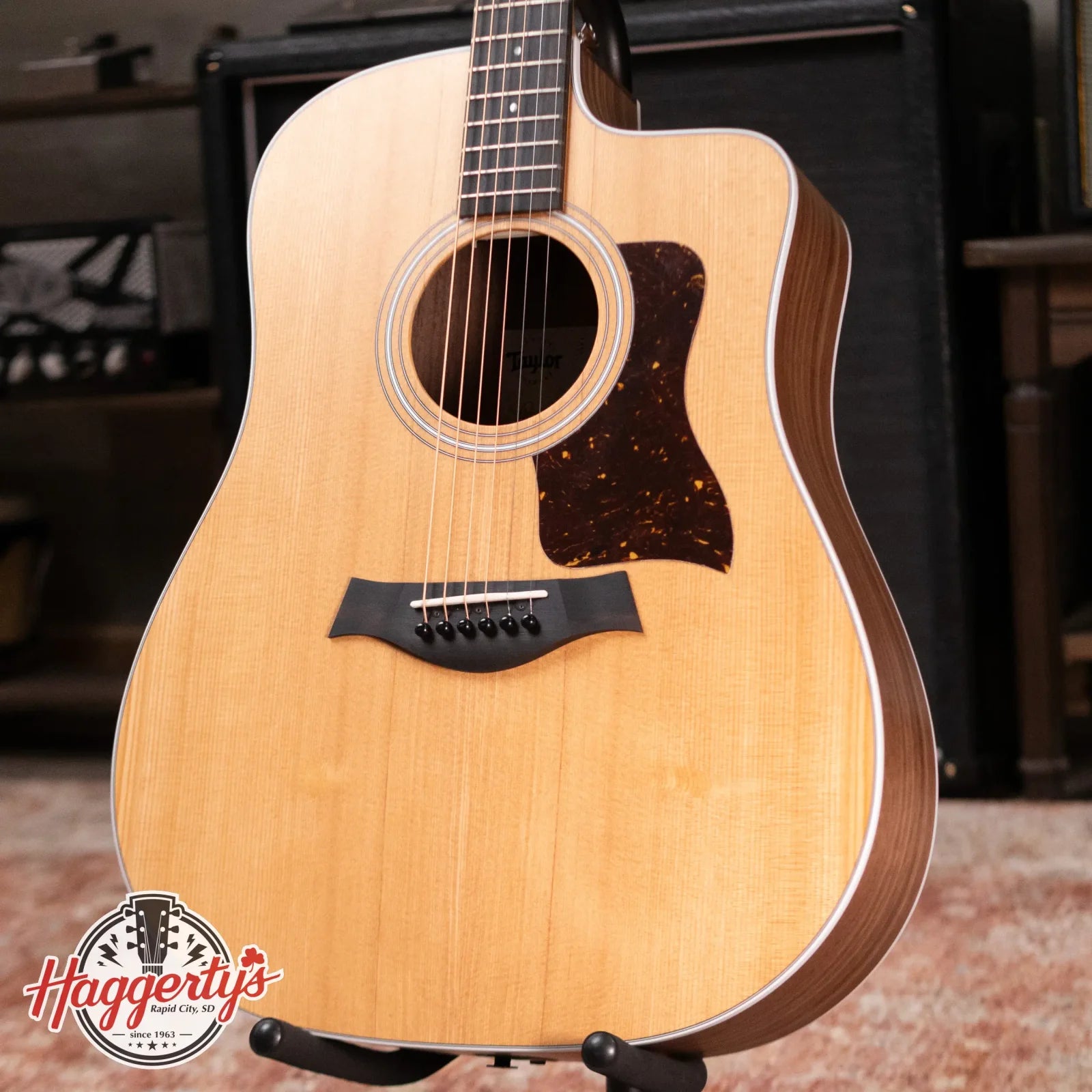 Taylor 210ce Dreadnought Acoustic/Electric Guitar with Gig Bag - Demo