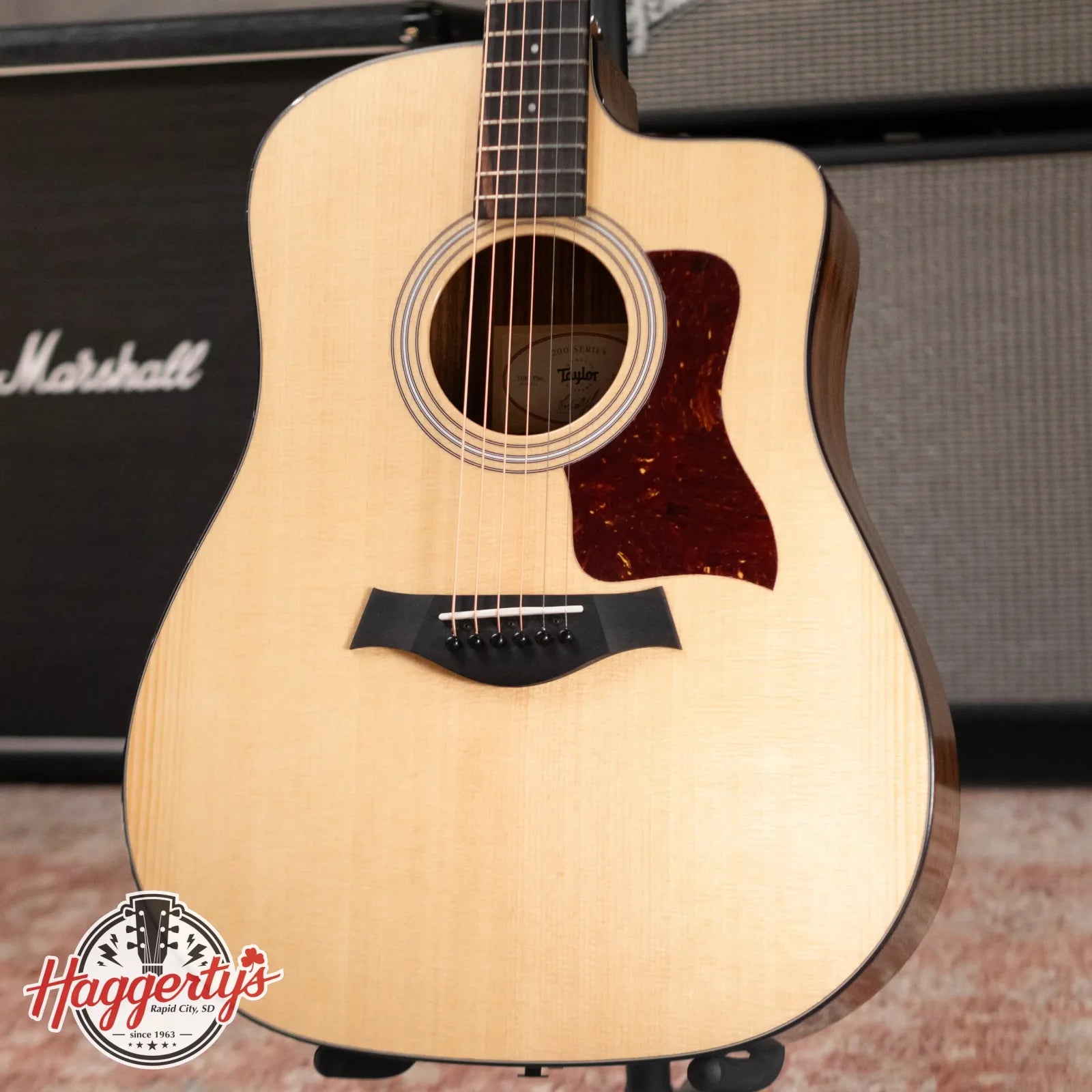 Taylor 210ce Plus Dreadnought Acoustic/Electric Guitar with Aerocase - Factory Demo