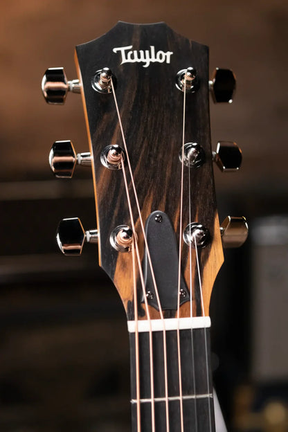 Taylor 210ce Plus Dreadnought Acoustic/Electric Guitar with Aerocase - Factory Demo