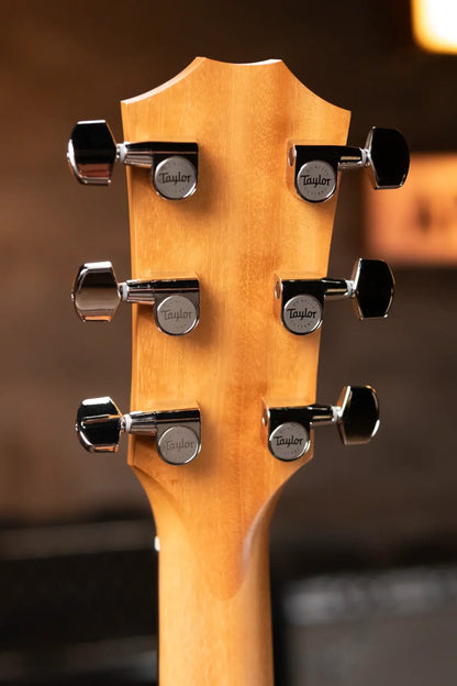 Taylor 210ce Plus Dreadnought Acoustic/Electric Guitar with Aerocase - Factory Demo