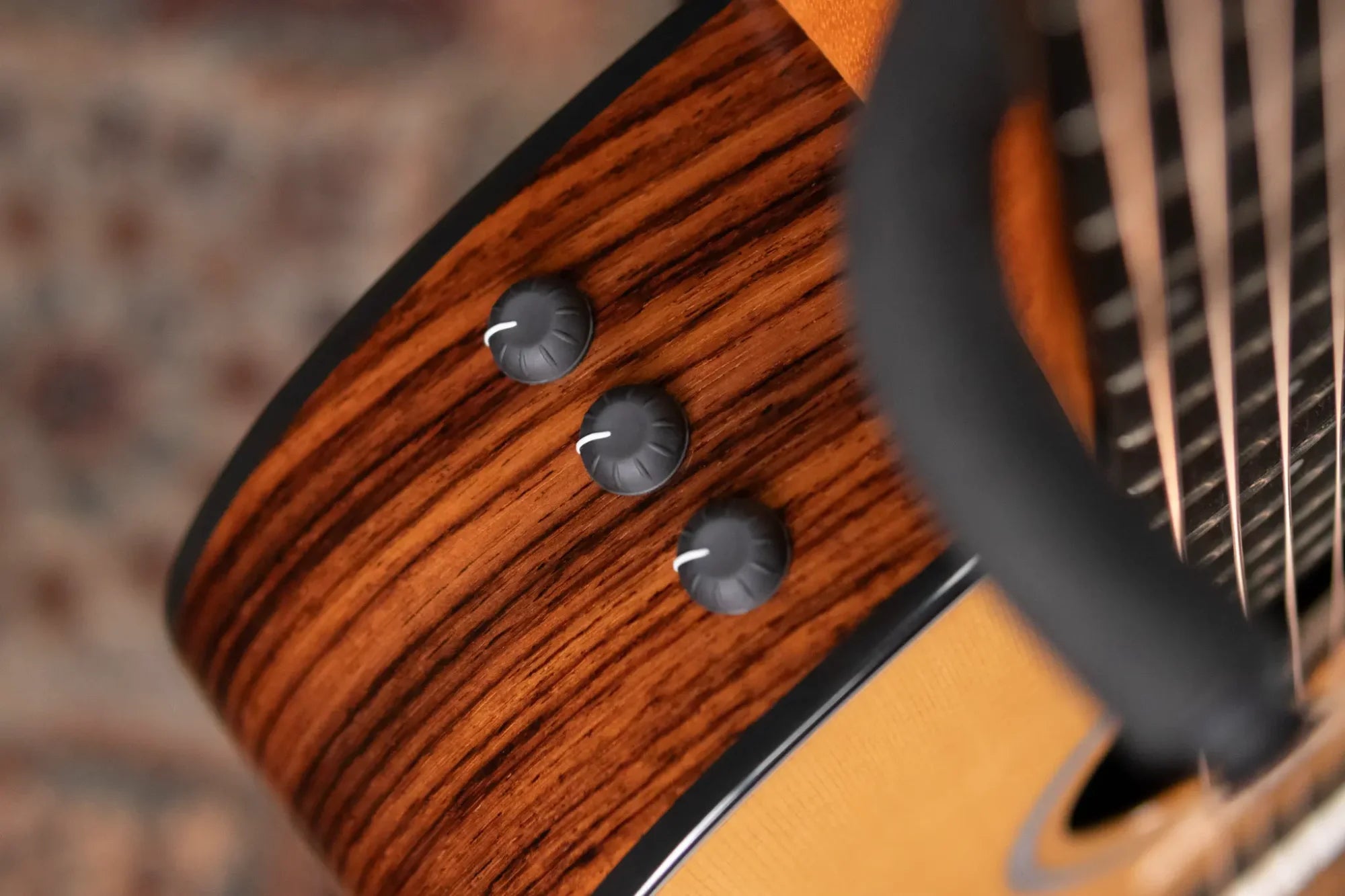 Taylor 210ce Plus Dreadnought Acoustic/Electric Guitar with Aerocase - Factory Demo