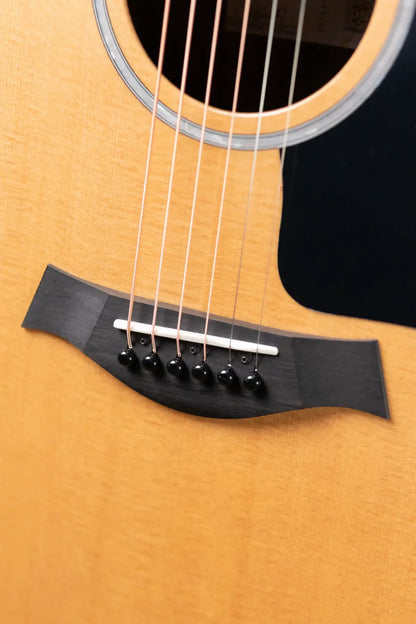 Taylor 210ce Plus Dreadnought Acoustic/Electric Guitar with Aerocase - Factory Demo