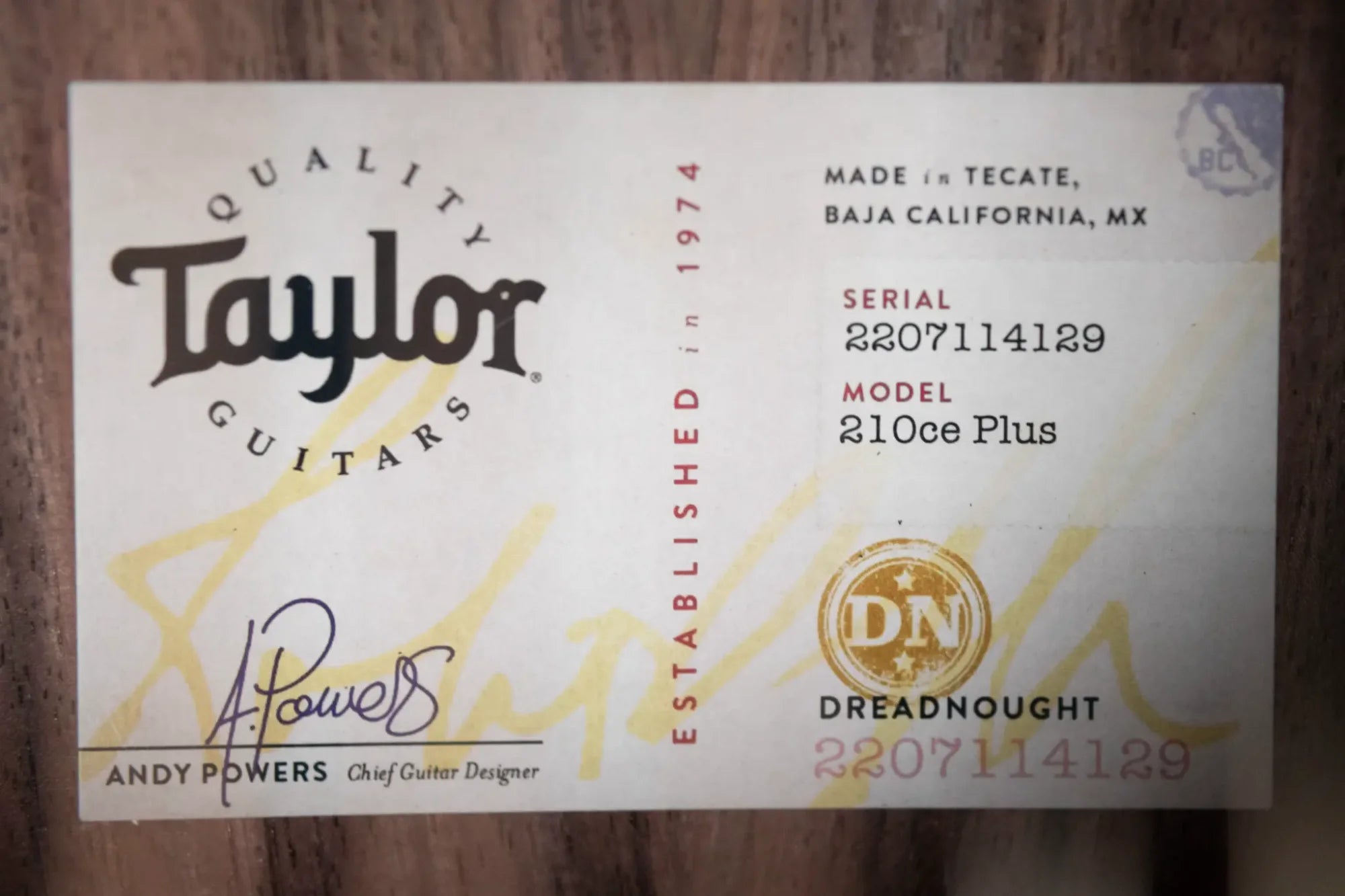 Taylor 210ce Plus Dreadnought Acoustic/Electric Guitar with Aerocase - Factory Demo