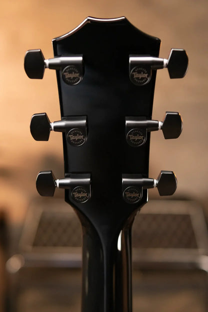 Taylor 214ce-BLK Plus Grand Auditorium Acoustic/Electric with Aerocase - Factory Demo