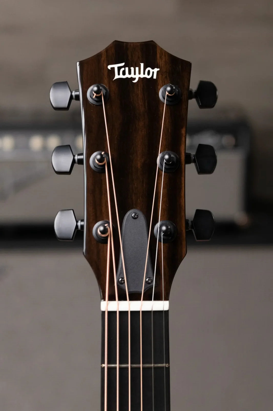 Taylor 214ce-BLK Plus Grand Auditorium Acoustic/Electric with Hardshell Case - Factory Demo