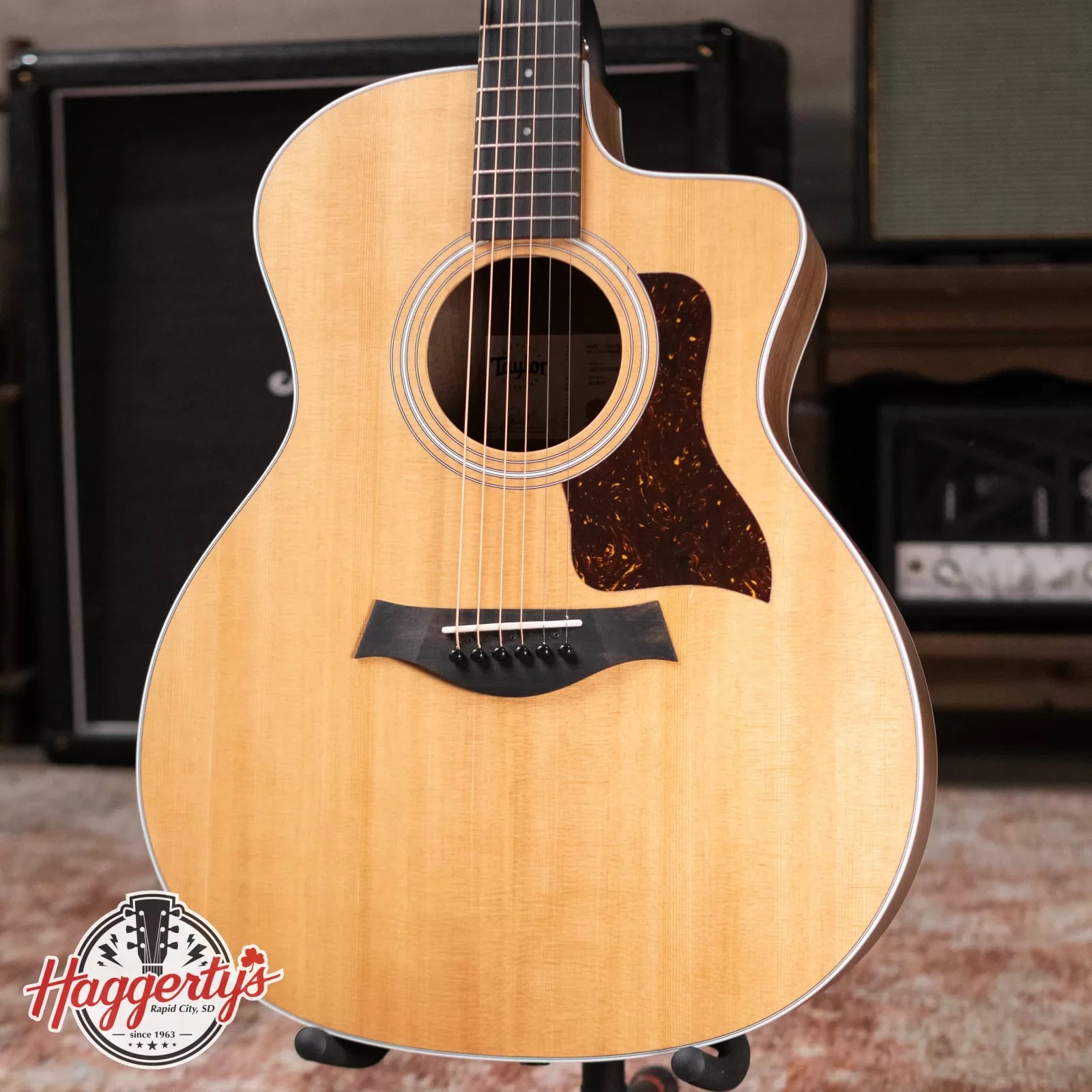Taylor 214ce Grand Auditorium Acoustic/Electric Guitar with Gig Bag - Factory Demo