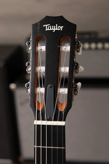 Taylor 214ce-N Nylon Grand Auditorium Acoustic/Electric with Gig Bag - Factory Demo