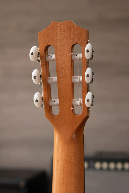 Taylor 214ce-N Nylon Grand Auditorium Acoustic/Electric with Gig Bag - Factory Demo