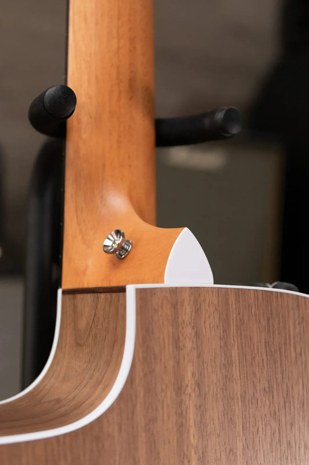 Taylor 214ce-N Nylon Grand Auditorium Acoustic/Electric with Gig Bag - Factory Demo