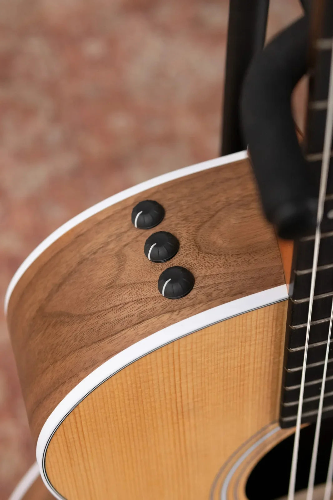 Taylor 214ce-N Nylon Grand Auditorium Acoustic/Electric with Gig Bag - Factory Demo