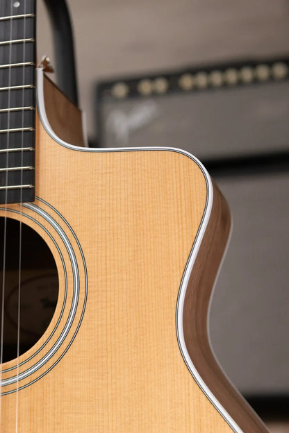 Taylor 214ce-N Nylon Grand Auditorium Acoustic/Electric with Gig Bag - Factory Demo