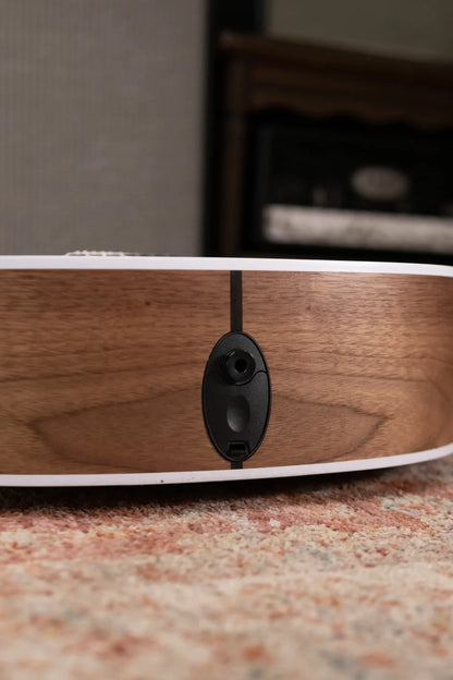 Taylor 214ce-N Nylon Grand Auditorium Acoustic/Electric with Gig Bag - Factory Demo