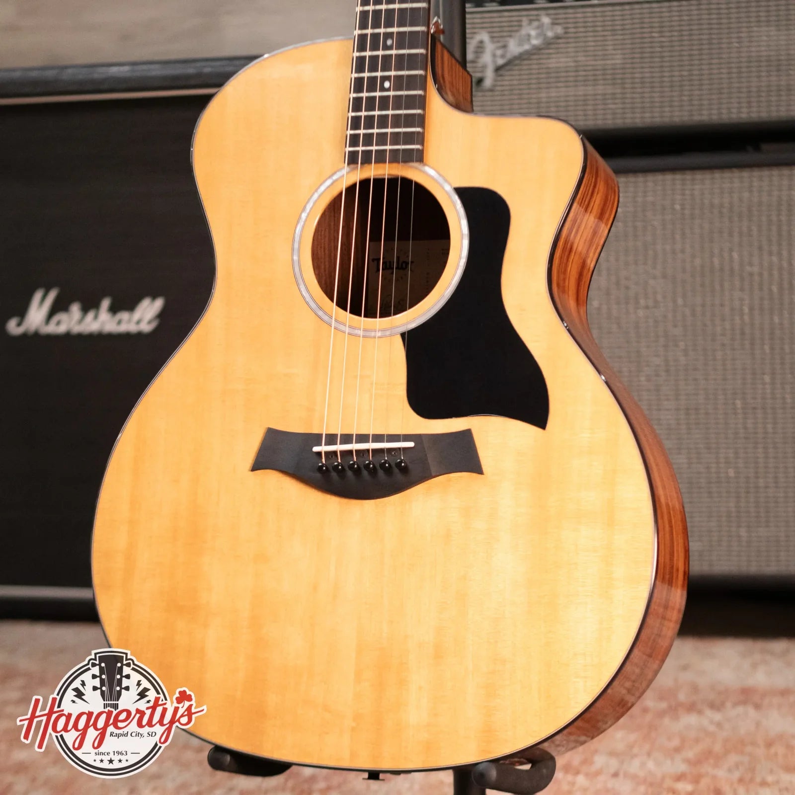 Taylor 214ce Plus Grand Auditorium Acoustic/Electric with AeroCase - Floor Model Demo