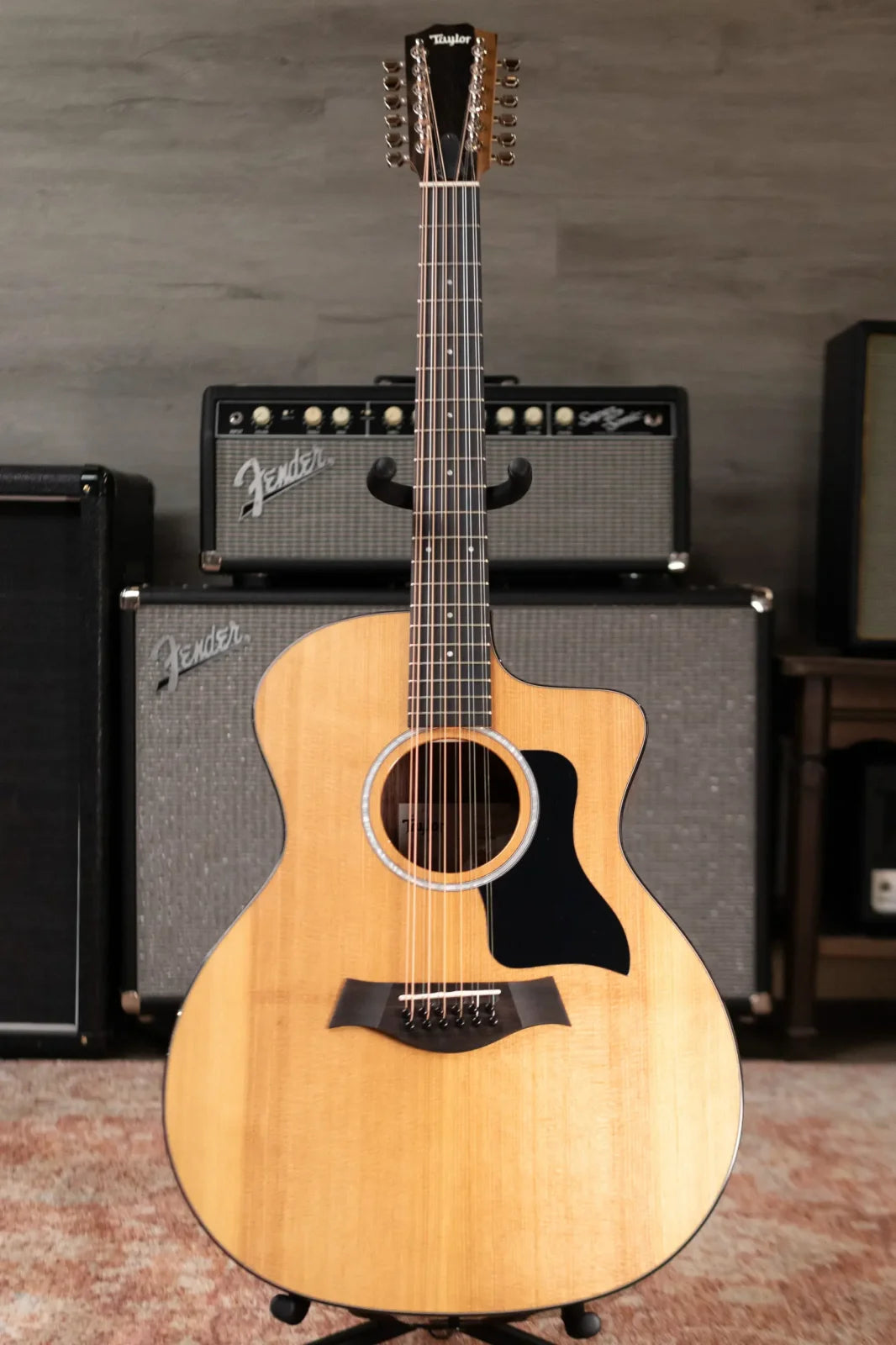 Taylor 254ce Plus 12-String Grand Auditorium Acoustic/Electric with Aerocase - Demo