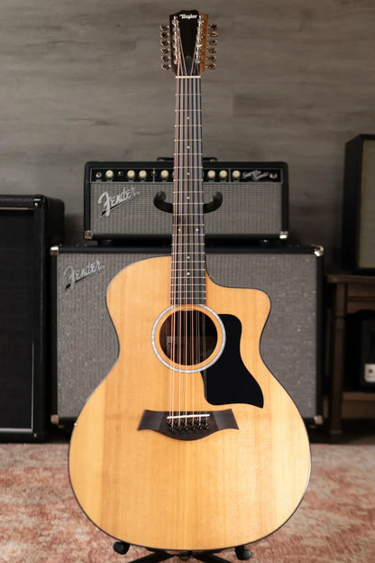 Taylor 254ce Plus 12-String Grand Auditorium Acoustic/Electric with Aerocase - Demo