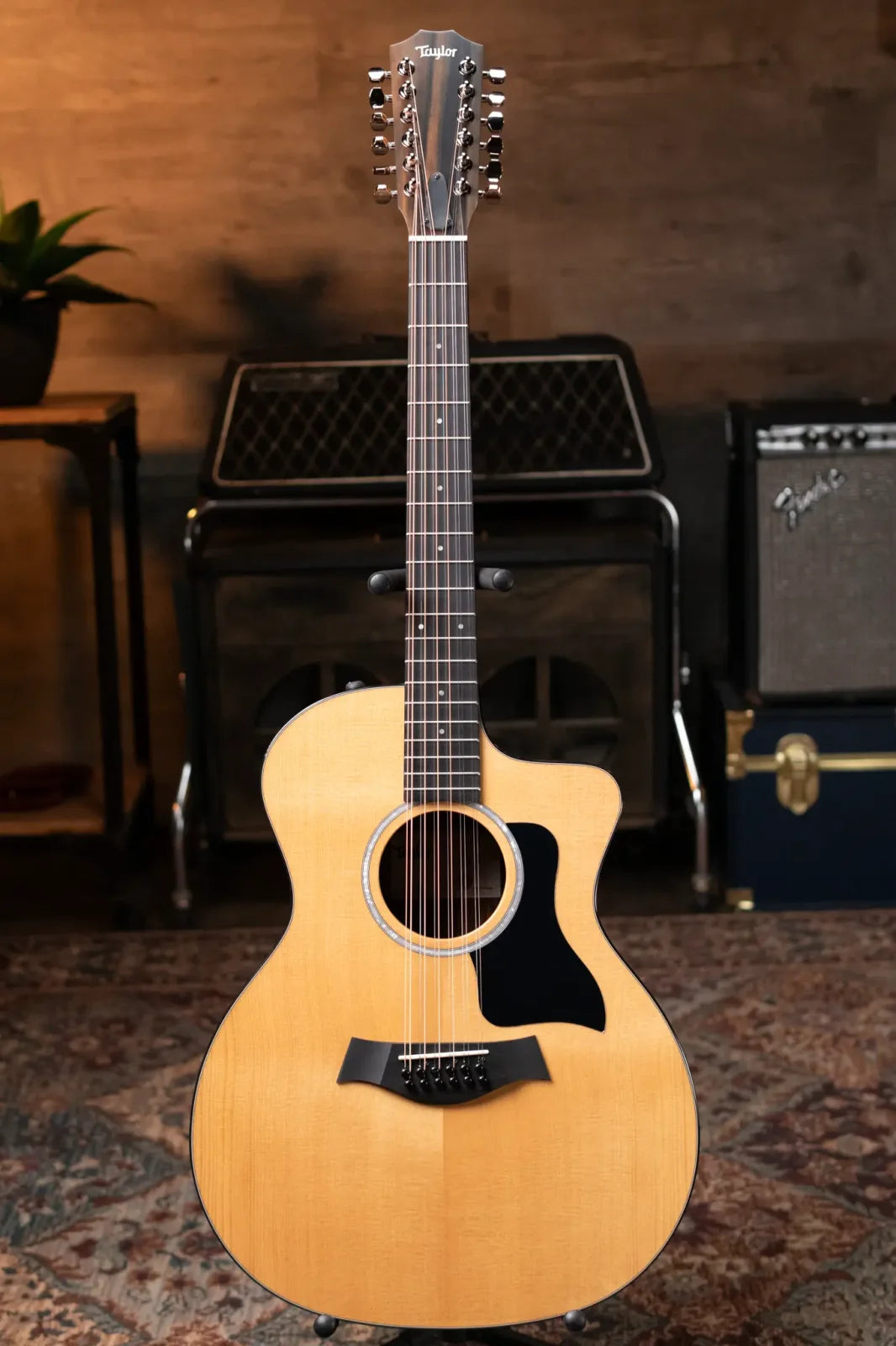 Taylor 254ce Plus 12-String Grand Auditorium Acoustic/Electric with Aerocase - Factory Demo