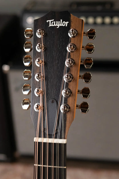 Taylor 254ce Plus 12-String Grand Auditorium Acoustic/Electric with Aerocase - Demo