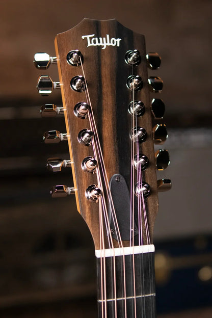 Taylor 254ce Plus 12-String Grand Auditorium Acoustic/Electric with Aerocase - Factory Demo