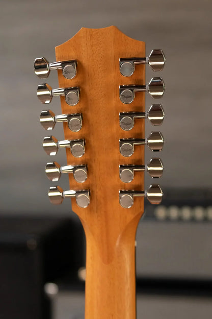 Taylor 254ce Plus 12-String Grand Auditorium Acoustic/Electric with Aerocase - Demo