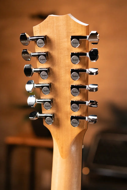 Taylor 254ce Plus 12-String Grand Auditorium Acoustic/Electric with Aerocase - Factory Demo