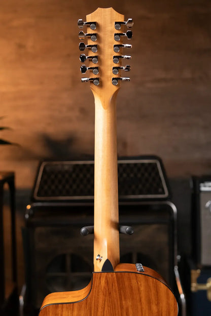 Taylor 254ce Plus 12-String Grand Auditorium Acoustic/Electric with Aerocase - Factory Demo