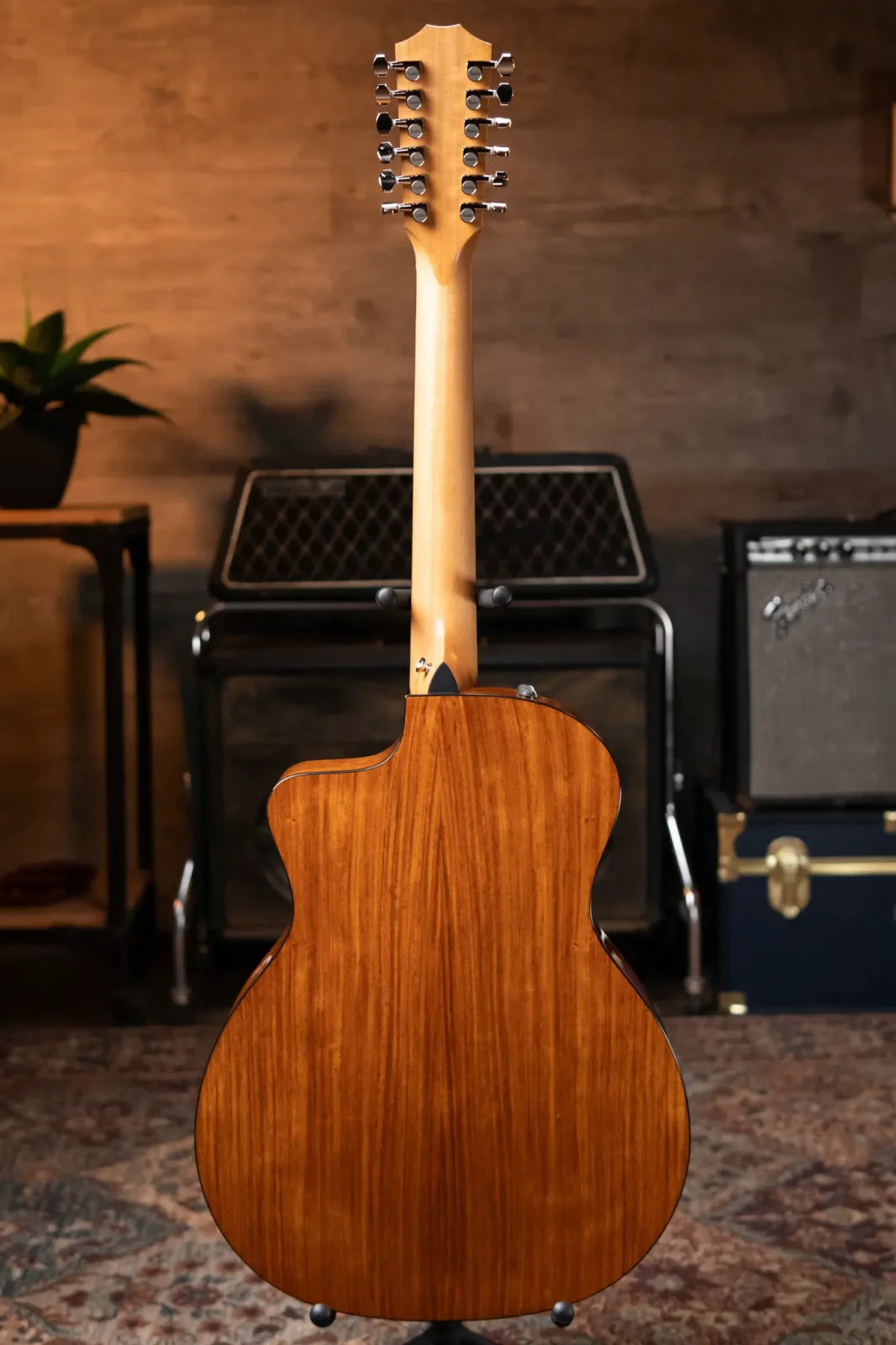 Taylor 254ce Plus 12-String Grand Auditorium Acoustic/Electric with Aerocase - Factory Demo