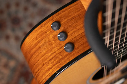 Taylor 254ce Plus 12-String Grand Auditorium Acoustic/Electric with Aerocase - Factory Demo