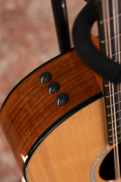 Taylor 254ce Plus 12-String Grand Auditorium Acoustic/Electric with Aerocase - Demo