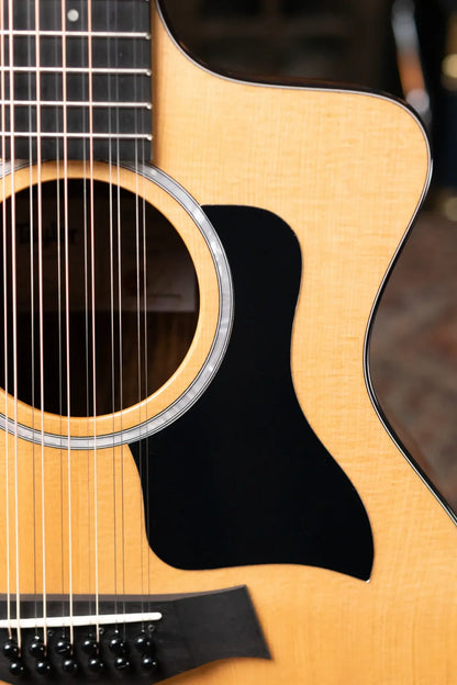Taylor 254ce Plus 12-String Grand Auditorium Acoustic/Electric with Aerocase - Factory Demo