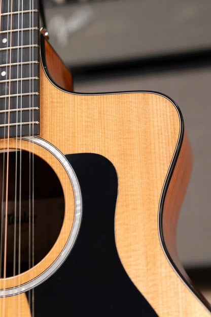 Taylor 254ce Plus 12-String Grand Auditorium Acoustic/Electric with Aerocase - Demo