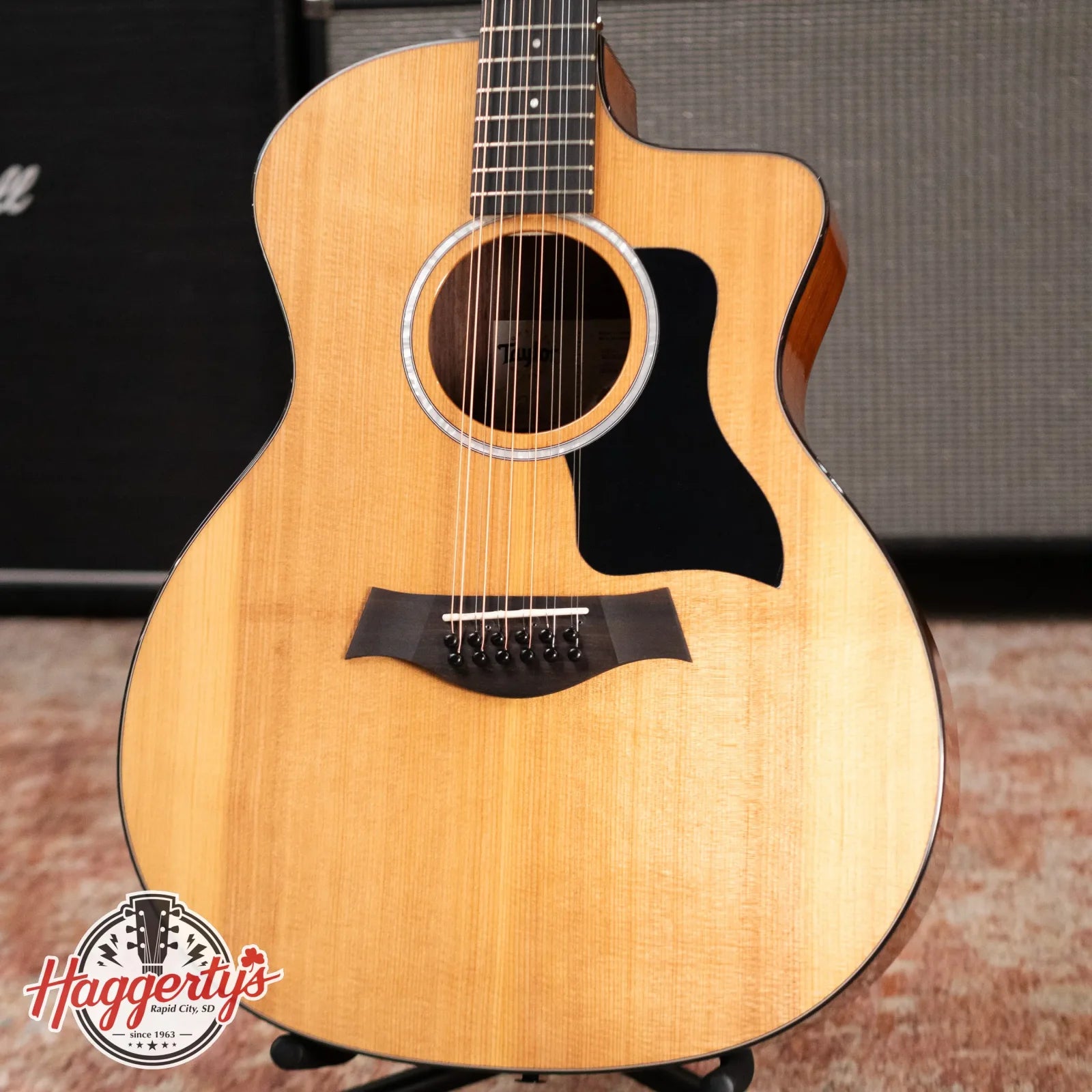 Taylor 254ce Plus 12-String Grand Auditorium Acoustic/Electric with Aerocase - Demo