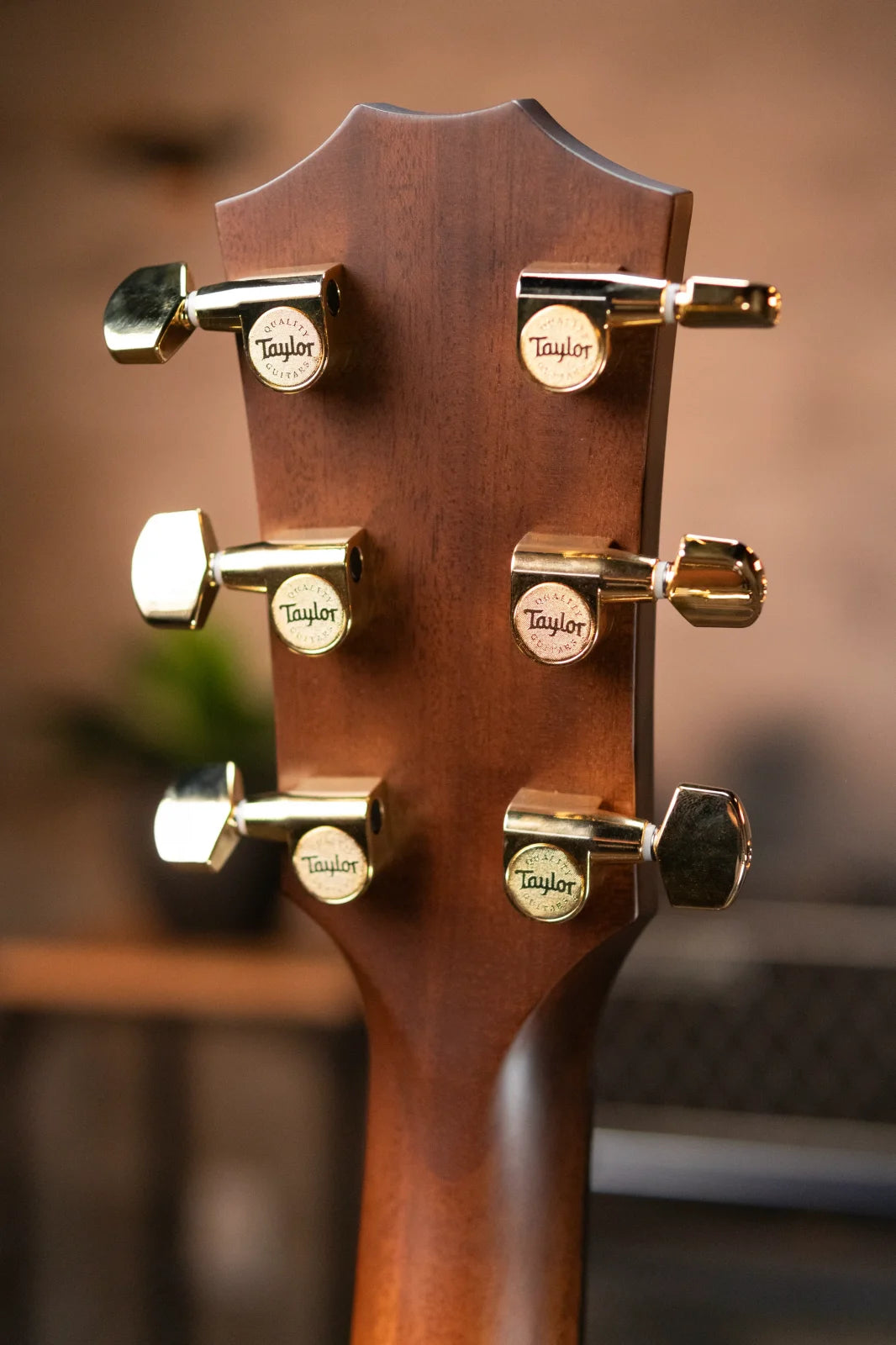 Taylor 312ce LTD 50th Anniversary Grand Concert Acoustic/Electric - Shaded Edge Burst with Hardshell Case