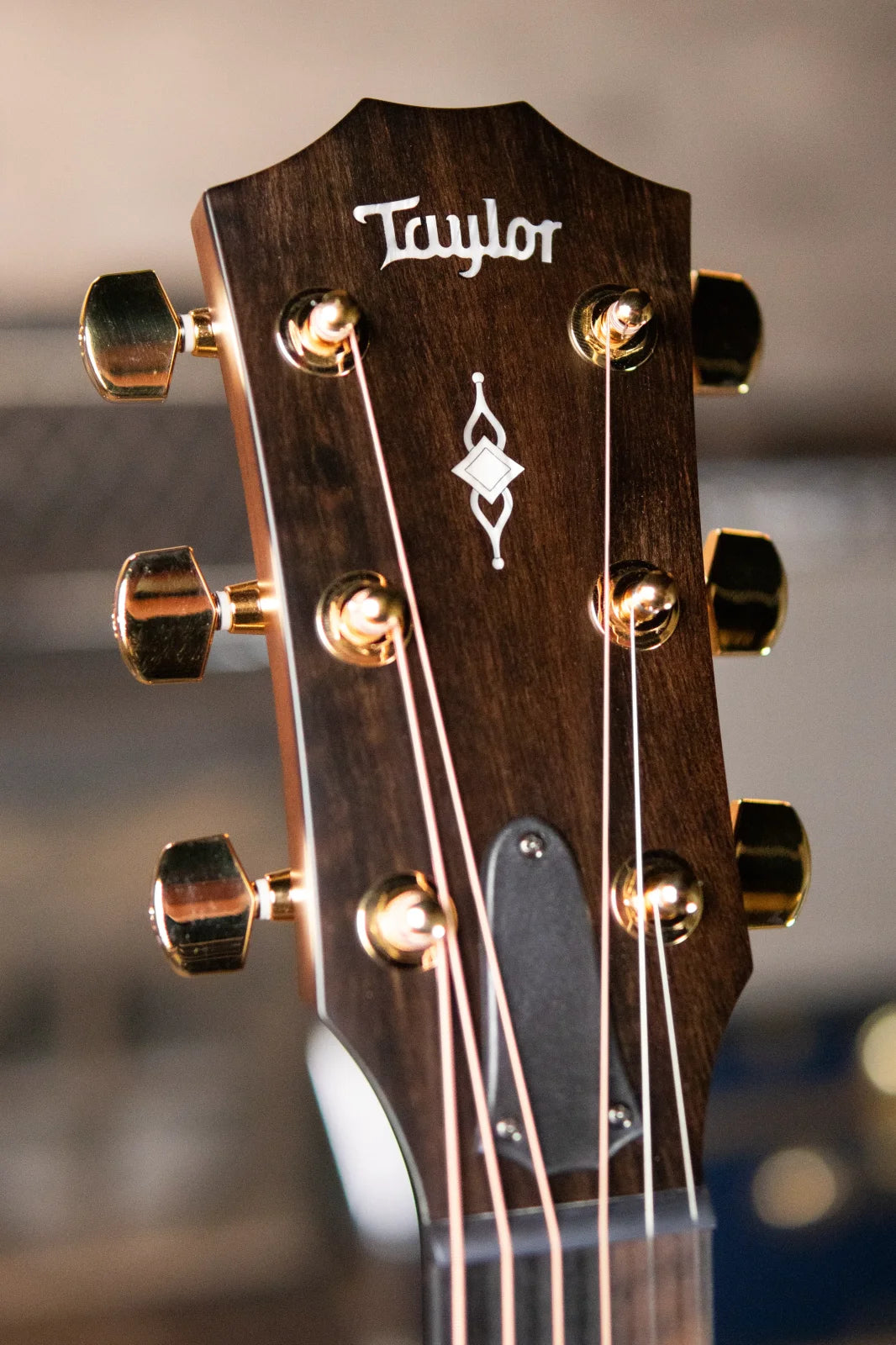 Taylor 312ce LTD 50th Anniversary Grand Concert Acoustic/Electric - Shaded Edge Burst with Hardshell Case