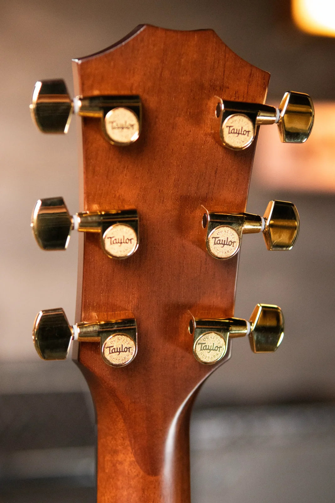 Taylor 312ce LTD 50th Anniversary Grand Concert Acoustic/Electric - Shaded Edge Burst with Hardshell Case