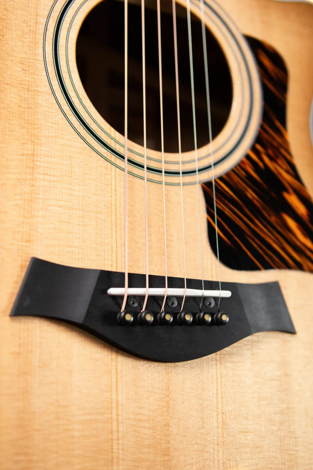 Taylor 312ce LTD 50th Anniversary Grand Concert Acoustic/Electric - Shaded Edge Burst with Hardshell Case