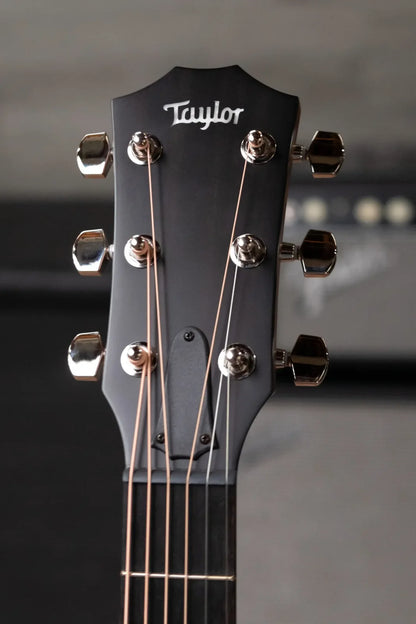 Taylor 314ce One of a Kind Grand Auditorium Acoustic/Electric with Hardshell Case - Demo