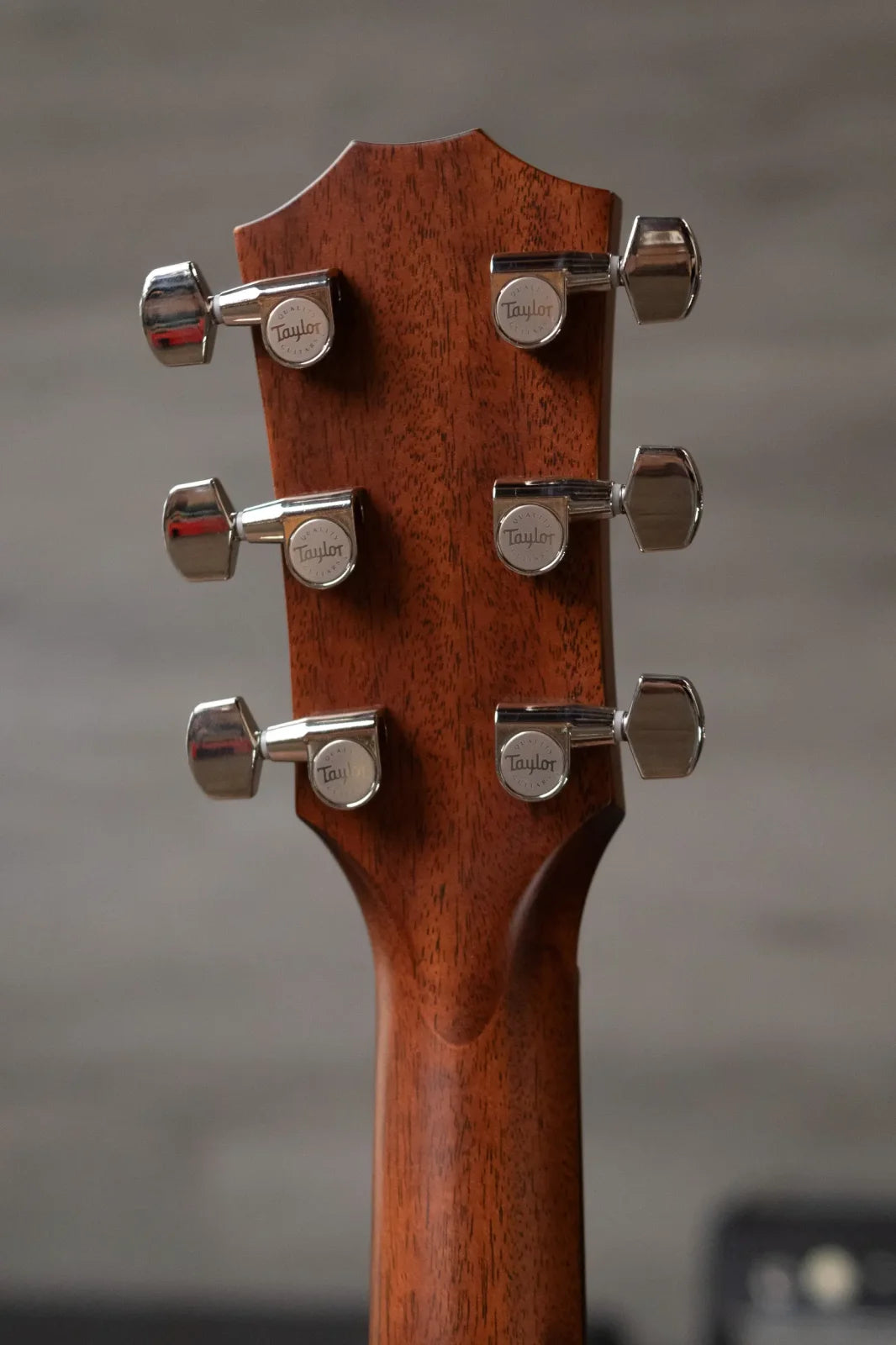 Taylor 314ce One of a Kind Grand Auditorium Acoustic/Electric with Hardshell Case - Demo
