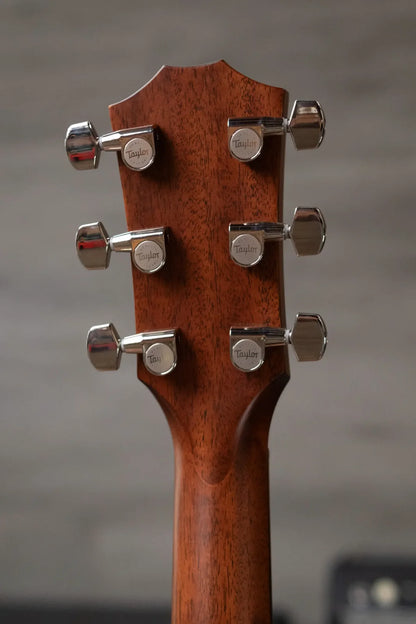 Taylor 314ce One of a Kind Grand Auditorium Acoustic/Electric with Hardshell Case - Demo