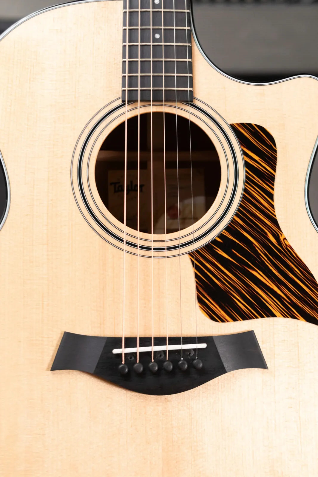 Taylor 314ce One of a Kind Grand Auditorium Acoustic/Electric with Hardshell Case - Demo