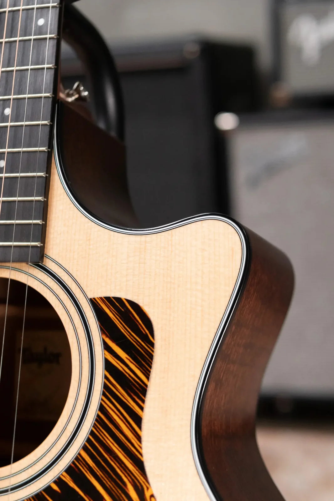 Taylor 314ce One of a Kind Grand Auditorium Acoustic/Electric with Hardshell Case - Demo