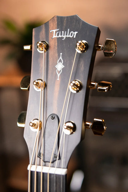 Taylor 316ce Baritone-6 LTD 50th Anniversary Grand Symphony Acoustic/Electric with Hardshell Case