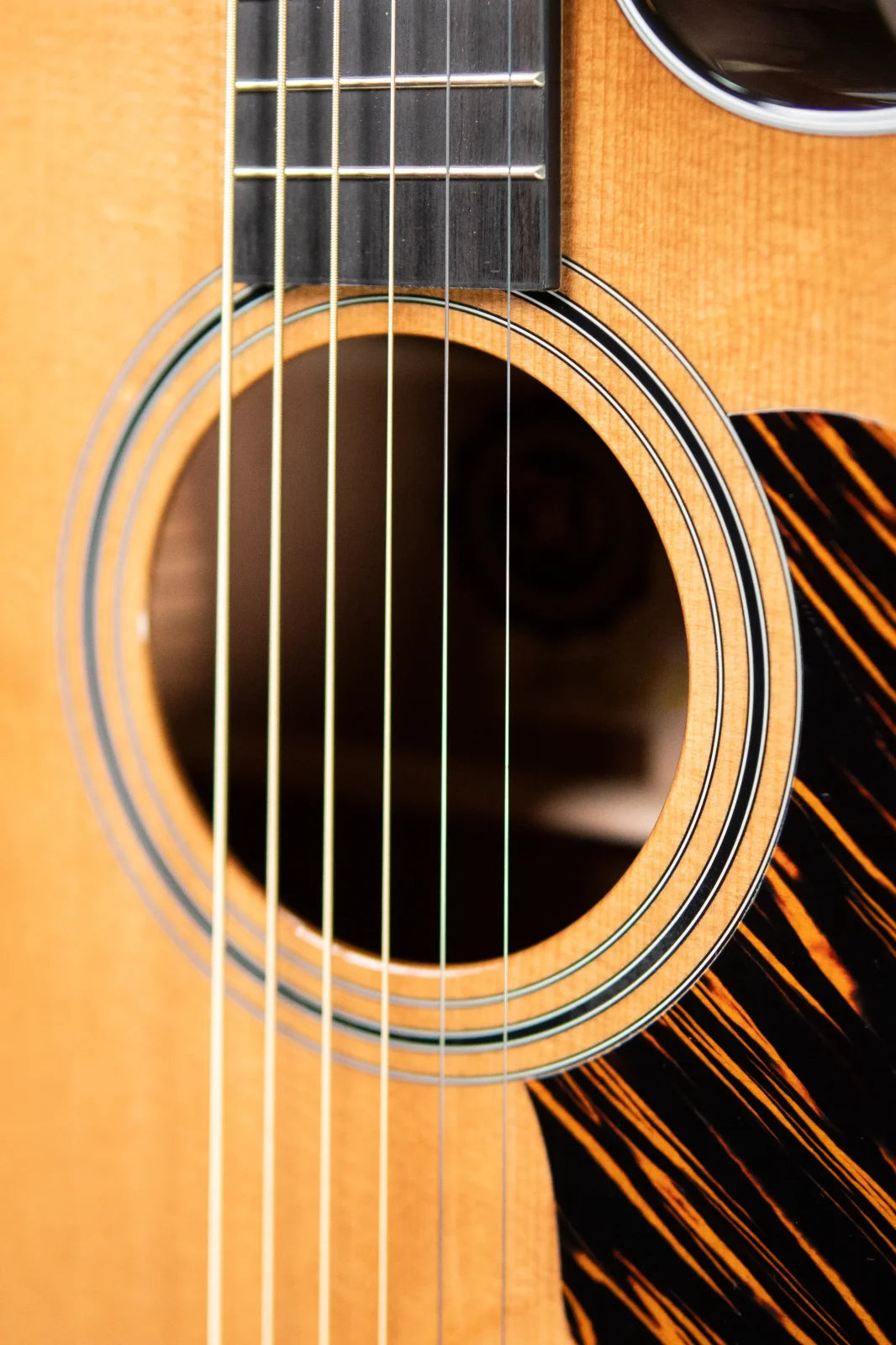 Taylor 316ce Baritone-6 LTD 50th Anniversary Grand Symphony Acoustic/Electric with Hardshell Case