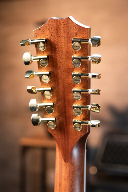 Taylor 858e LTD 50th Anniversary 12-String Grand Orchestra Acoustic/Electric with Hardshell Case