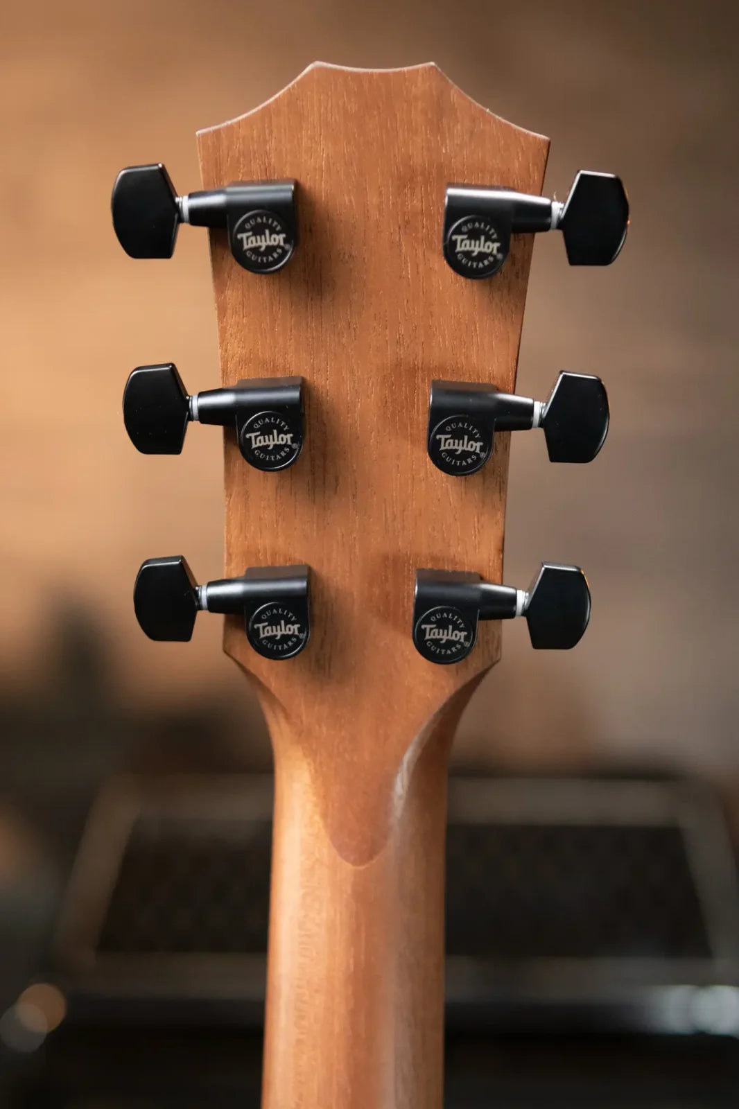 Taylor AD12e-SB Grand Concert Acoustic/Electric - Tobacco Sunburst with Aerocase - Factory Demo