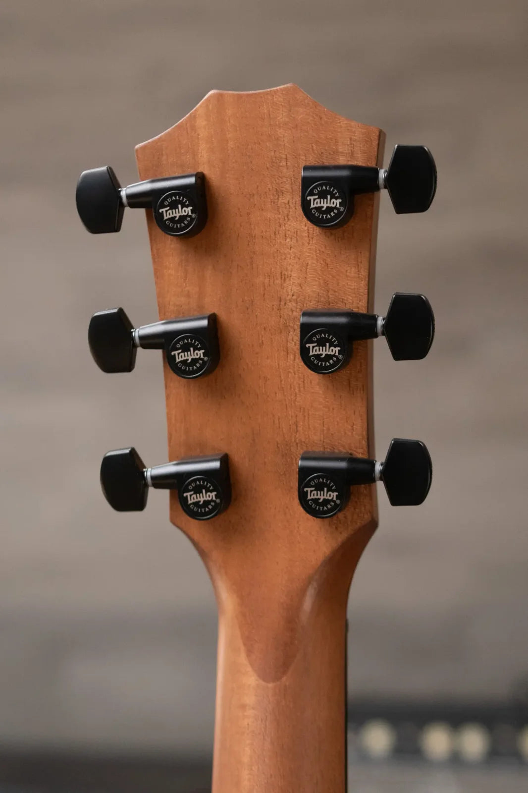 (Shipping Damage) Taylor AD12e-SB Grand Concert Acoustic/Electric with AeroCase
