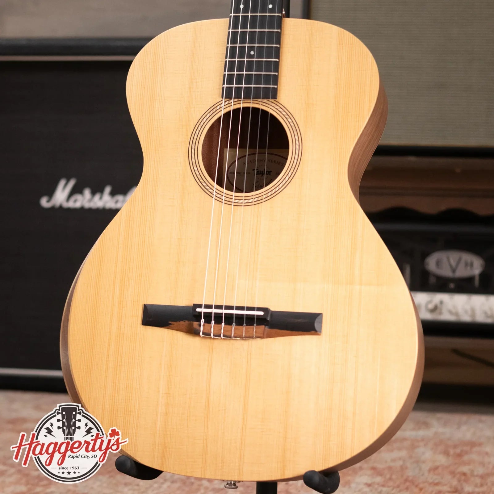 Taylor Academy 12e-N Nylon Grand Concert Acoustic/Electric with Gig Bag - Factory Demo
