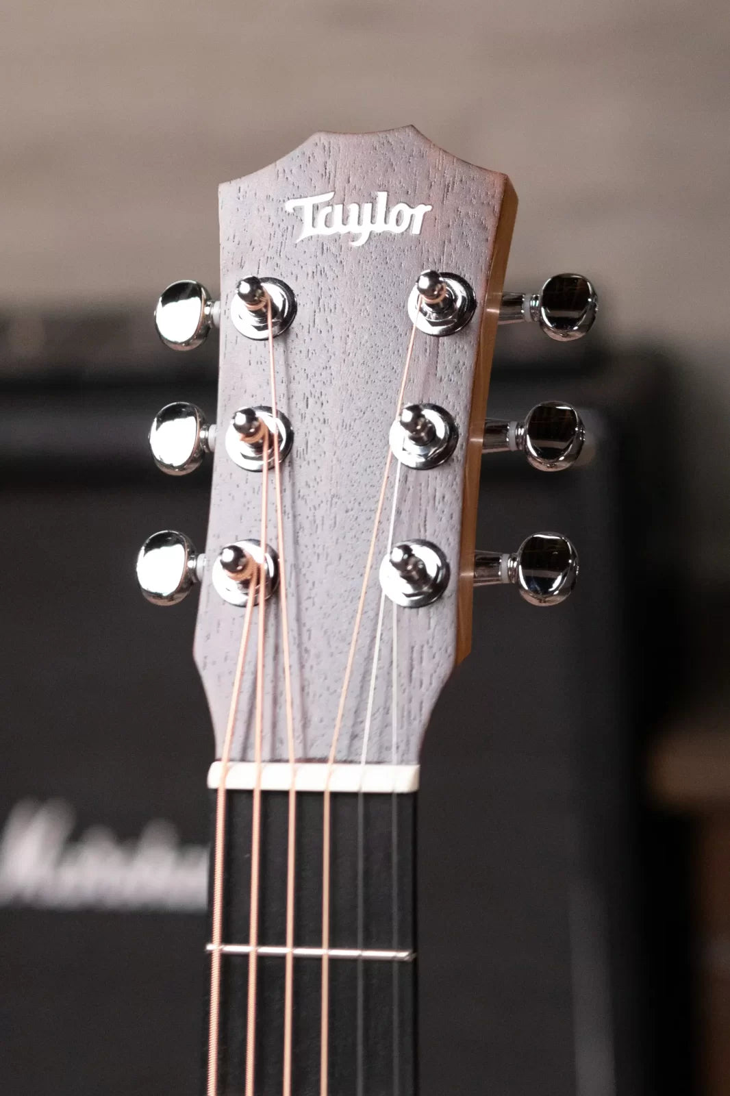 Taylor BT1 Baby Taylor Acoustic Guitar with Gig Bag
