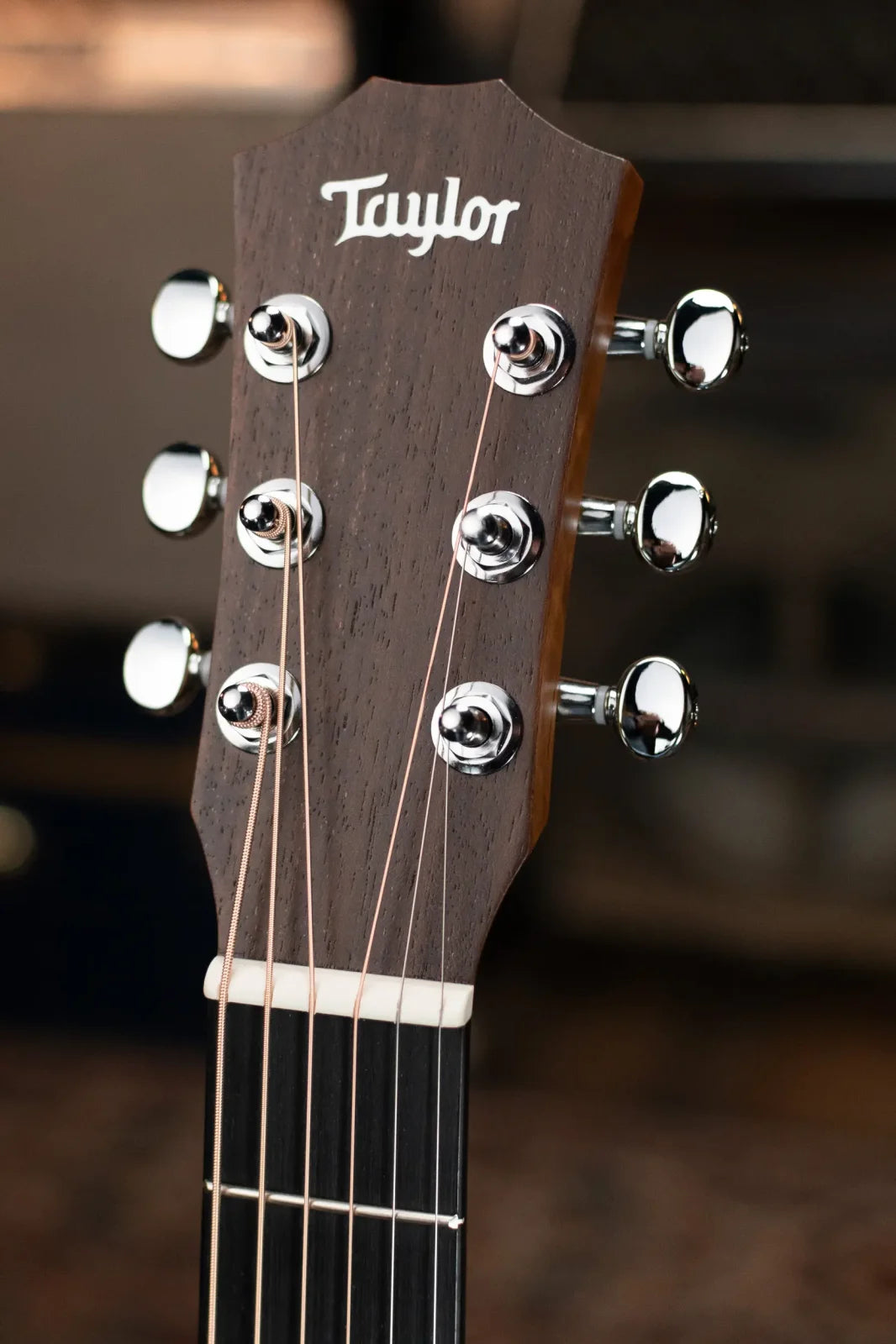 Taylor BT1 Baby Taylor Acoustic Guitar